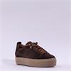 Paul Green Super Soft Platform Trainer - Brown Suede